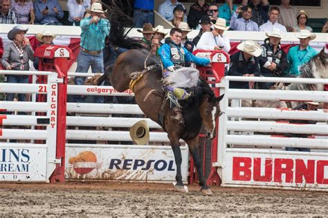 alexis frulling stampede video|SEE IT: Canadian woman makes ‘Trampede’ video ...